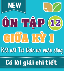 Ôn tập Giữa kỳ I (KNTT_HH12)